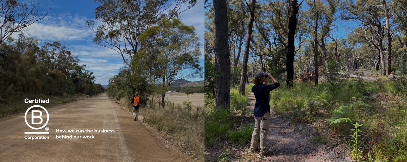 B Corp Banner - How we run the business behind our work