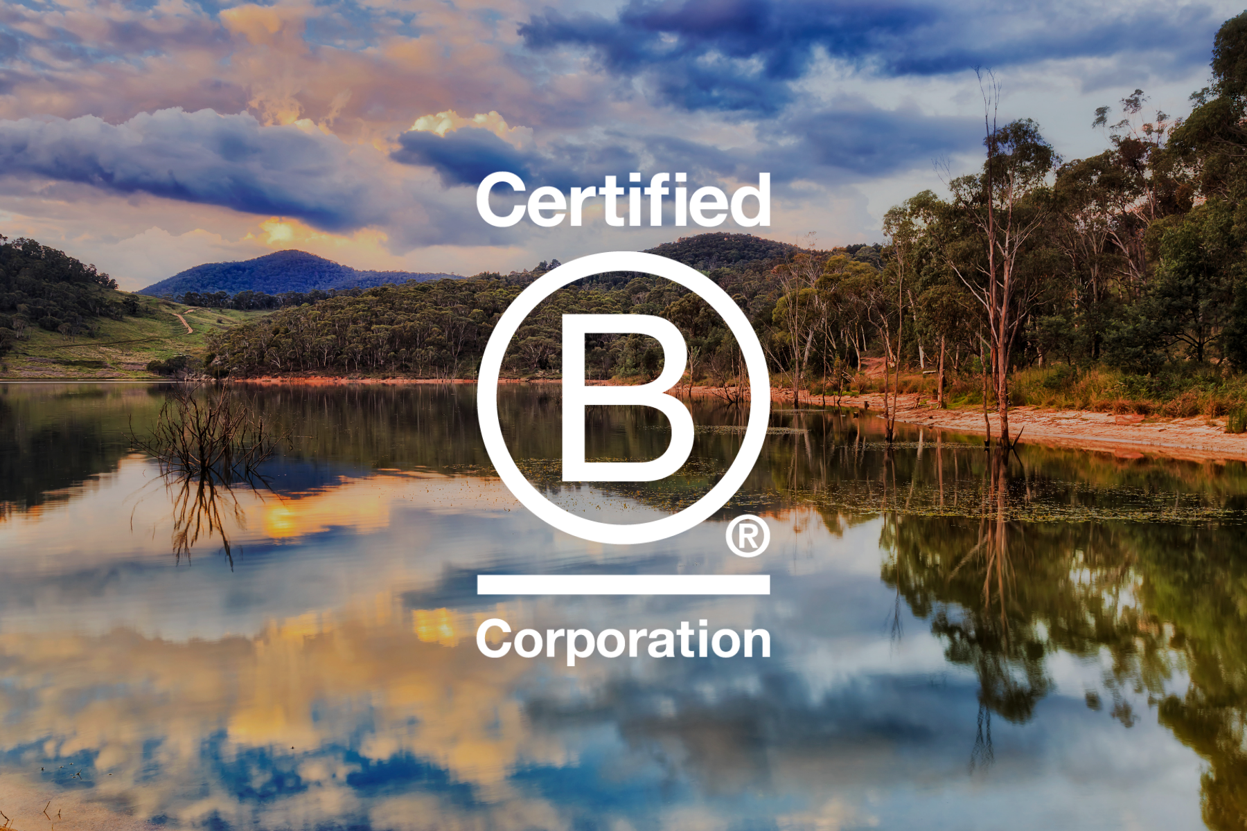 What becoming a Certified B Corporation® means for WolfPeak