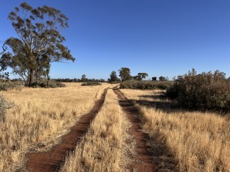 Strontian Road Solar Farm