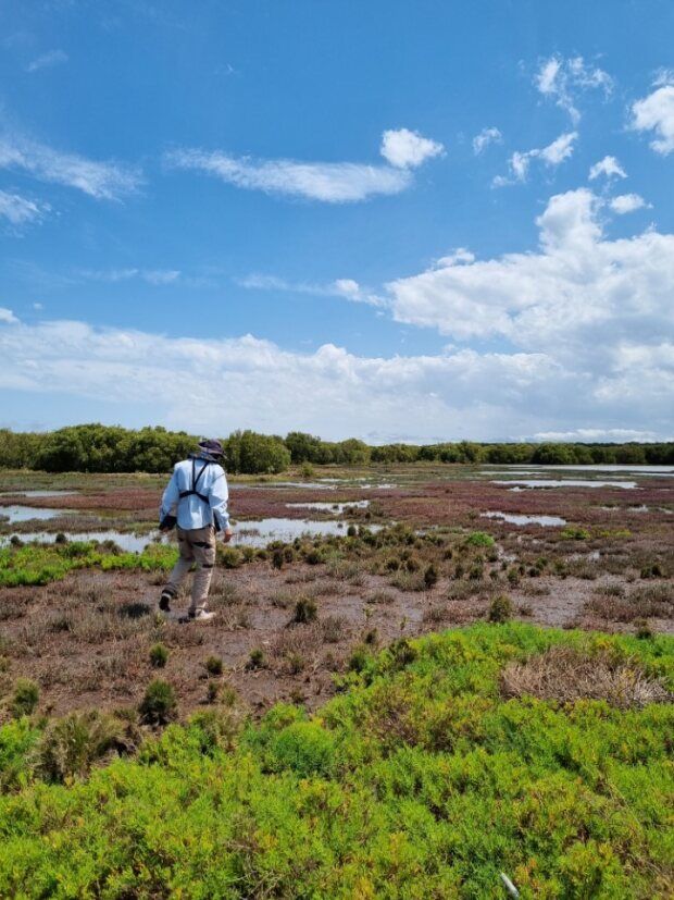 The Vital Role of Wetlands