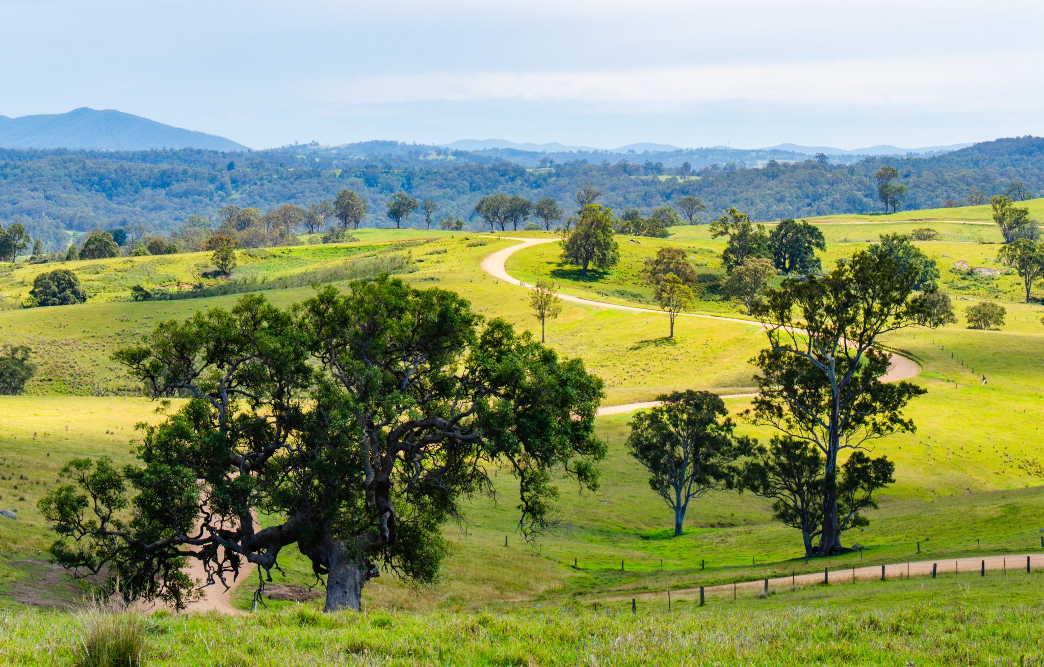 Bega-Valley