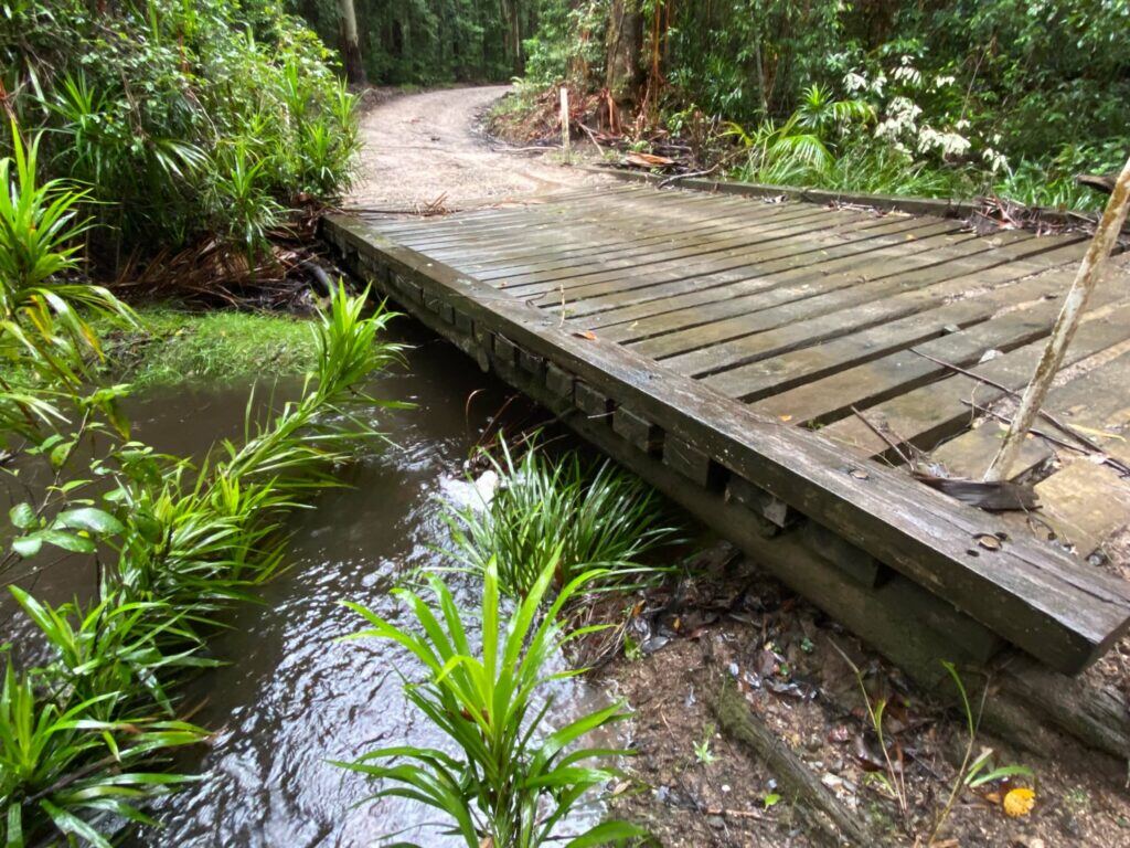 Bongil Bongil National Park Fire Access and Fire Trail (FAFT) Upgrades