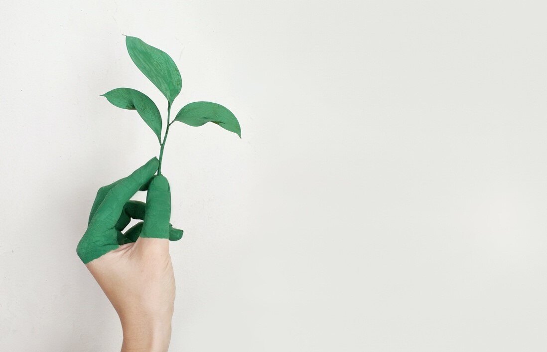 How Your Business Can Become More Sustainable