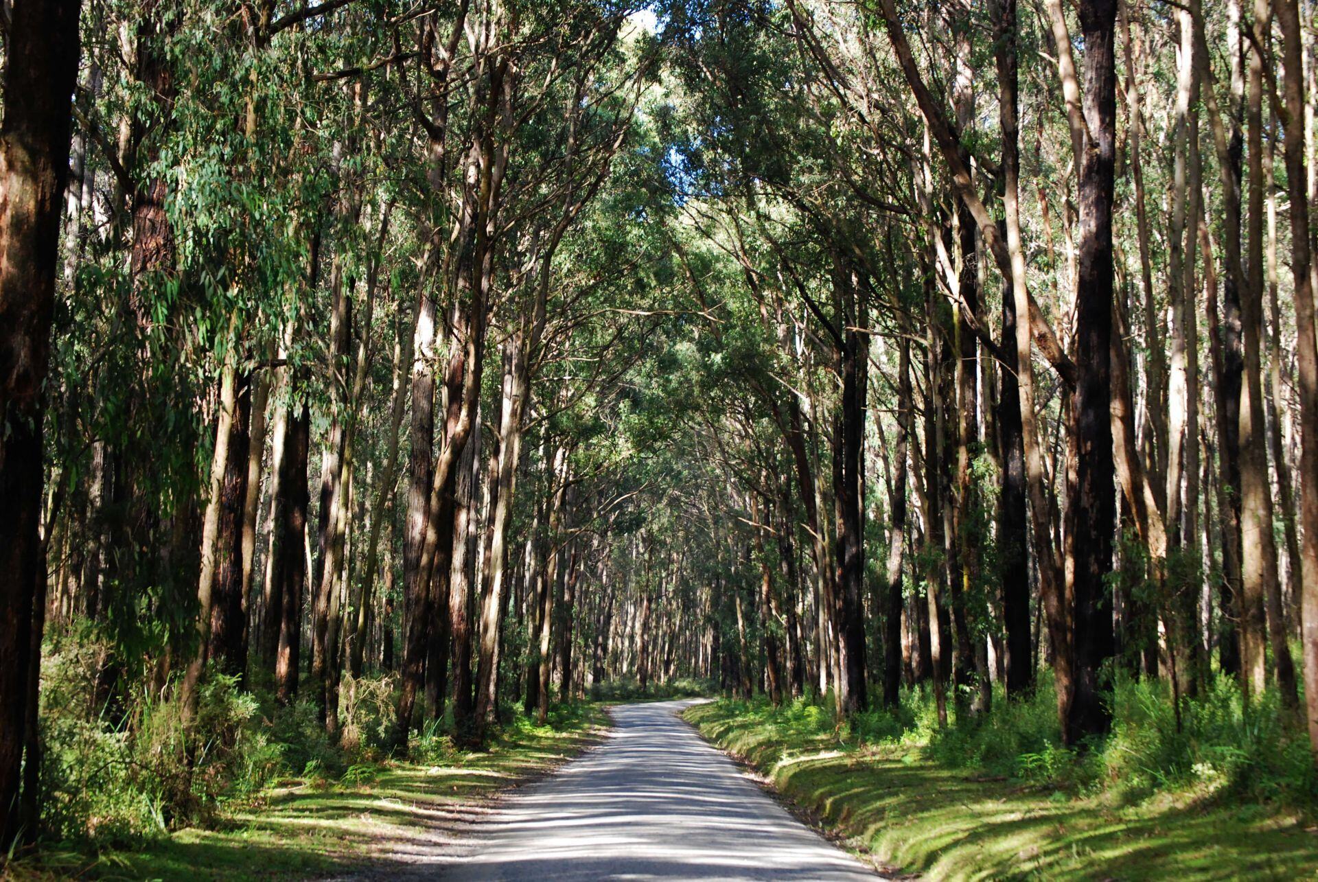 Vegetation-Piparian-Coast-and-Estuary-Mangement